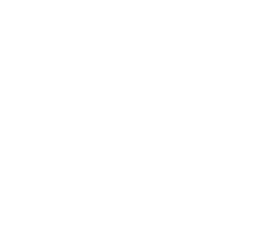 SYNERGY